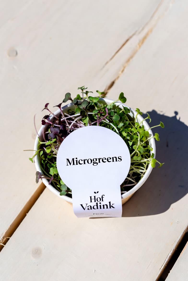 Microgreens